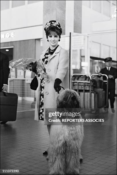 Gina Lollobridgida - Atmosphere Of Cannes Film Festival In Cannes, France On May 24, 1965.