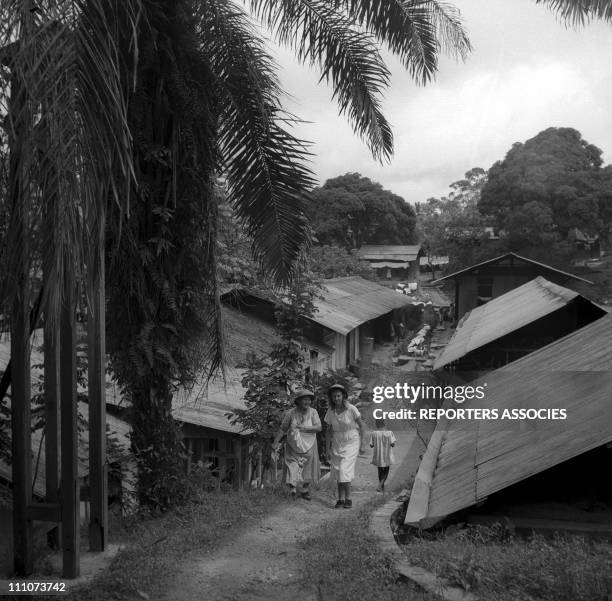 Dr - Albert Schweitzer and his hospital in Lambarene, Gabon in 1953 - Surgery at the Lambarene hospital - In 1913, having obtained his MD degree,...