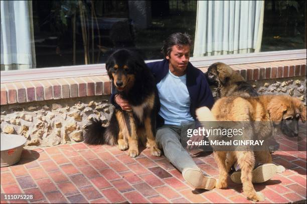 Alain Delon with his dogs around 1980 in France -