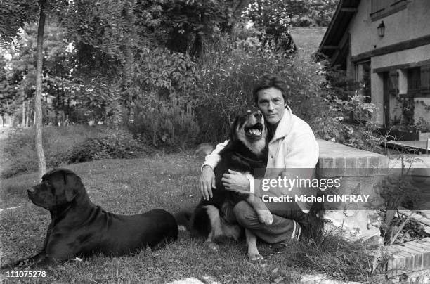 Alain Delon with his dogs in Douchy, France in November, 1980.