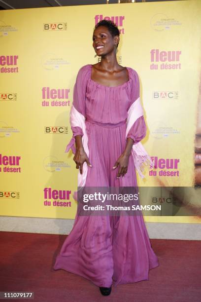 The premiere of "Fleur du desert" at theatre Marigny in Paris, France on March 07th, 2010 - Waris Dirie.