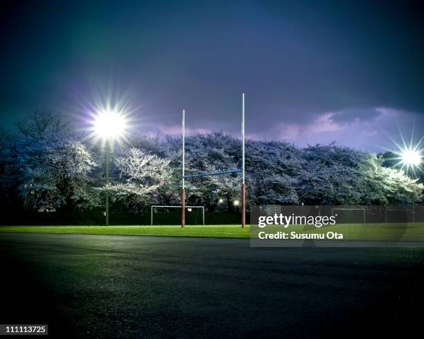 sakura and rugby field at night - rugbyplatz stock-fotos und bilder