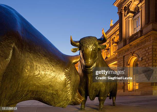 bull and bear at stock exchange - frankfurter wertpapierbörse stockfoto's en -beelden