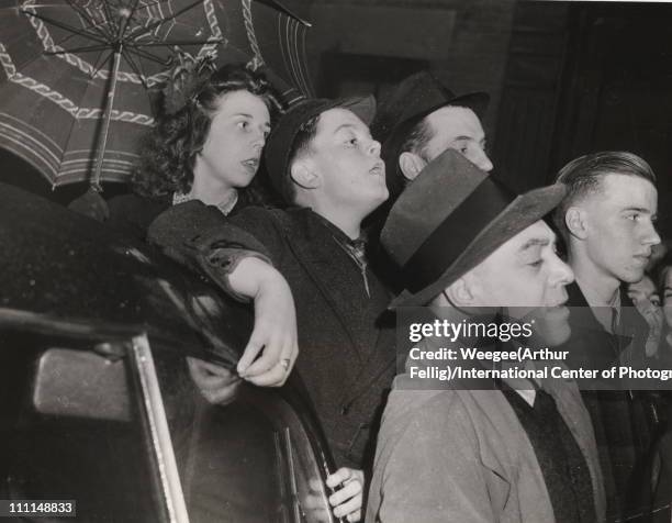Gawk 76 Gawk Stock Photos, High-Res Pictures, and Images - Getty Images