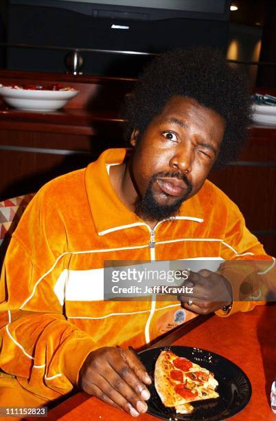 Afroman during The 44th Annual Grammy Awards - Rehearsals in Los Angeles, California, United States.