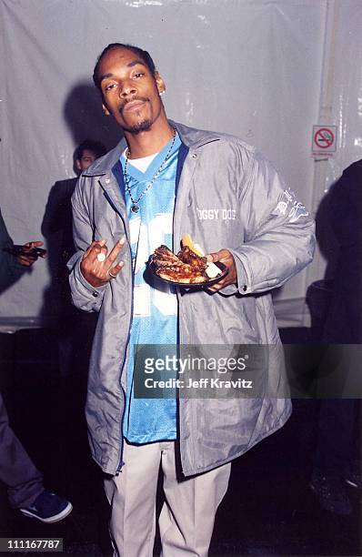 Snoop Dogg during Fox Billboard Awards 1994-Backstage at Universal Amphitheater in Universal City, California, United States.