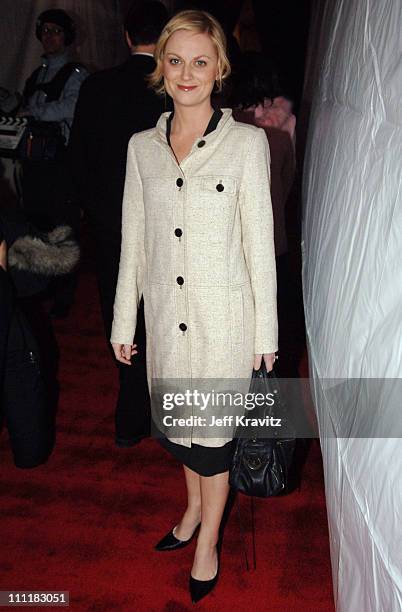 Amy Poehler of "Saturday Night Live" during 20th Annual Rock and Roll Hall of Fame Induction Ceremony - Red Carpet at Waldorf Astoria Hotel in New...