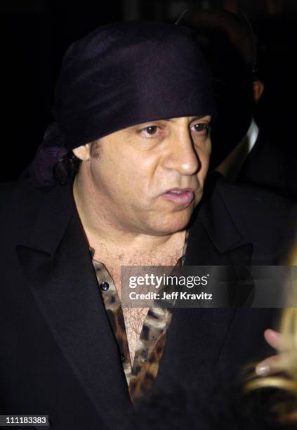 Steven Van Zandt during 20th Annual Rock and Roll Hall of Fame Induction Ceremony - Audience and Backstage at Waldorf Astoria Hotel in New York City,...