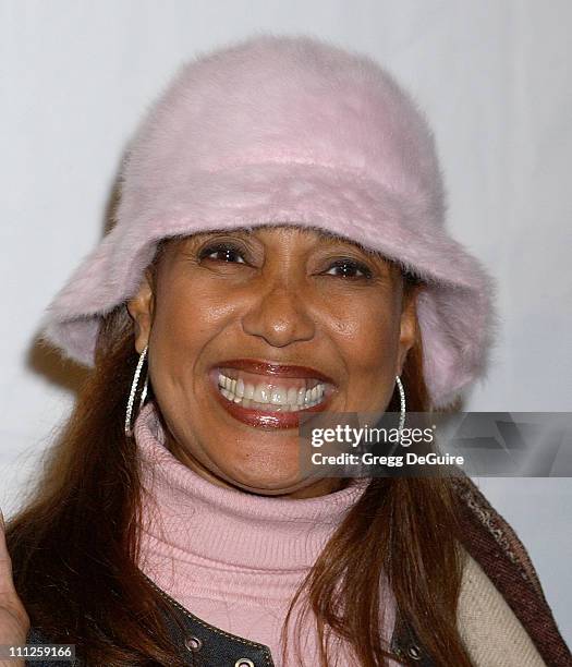 Telma Hopkins during Harman/Kardon VIP Celebrity Party at The Rolling Stones Concert at Hollywood Bowl in Hollywood, California, United States.