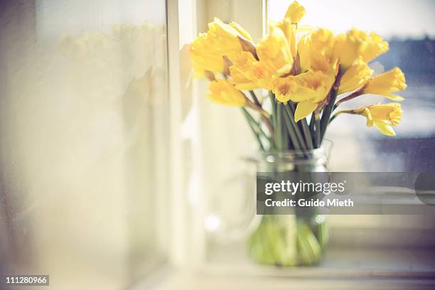 bunch of daffodils in clear preserving glass - daffodil ストックフォトと画像