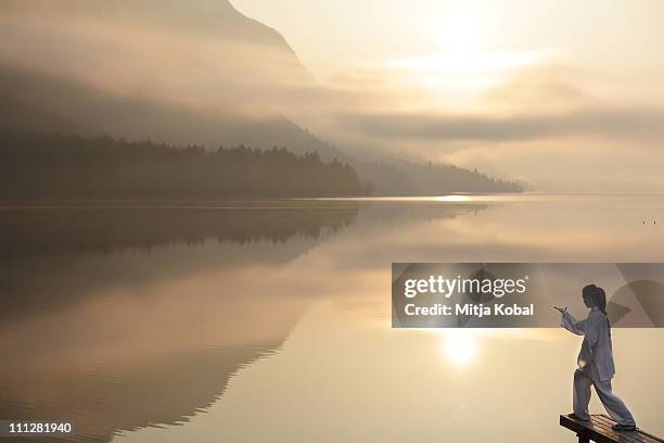 sunlight with reflection - taijiquan foto e immagini stock