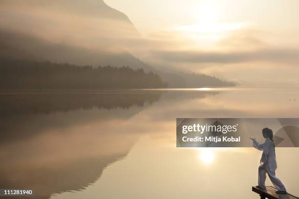 sunlight with reflection - taijiquan bildbanksfoton och bilder