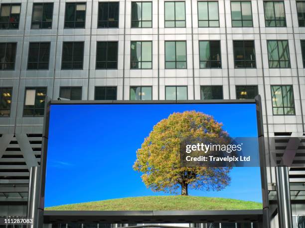Tree Adds Tree Ad Photos and Premium High Res Pictures - Getty Images