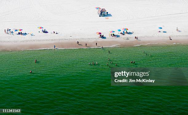 gulf shores, alabama - gulf shores - fotografias e filmes do acervo