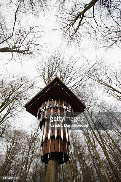 Part of an installation entitled 'Super Kingdom', hangs in trees in King's Wood as part of the Stour Valley Arts project on March 31, 2011 in...