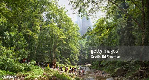 zhangjiajie national forest park - zhangjiajie national forest park stock-fotos und bilder