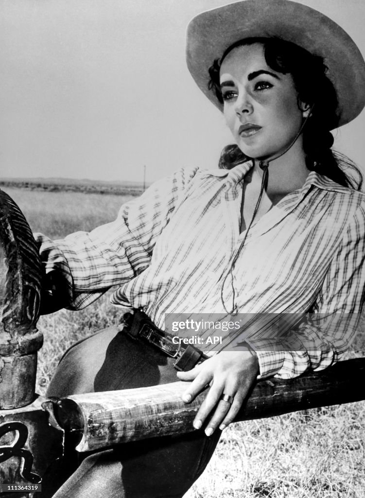 Elizabeth Taylor Archives