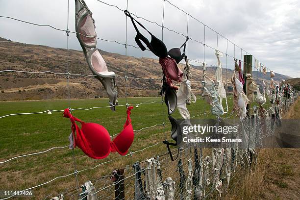 the cardrona bra on fence, new zealand - bra fence stock pictures, royalty-free photos & images