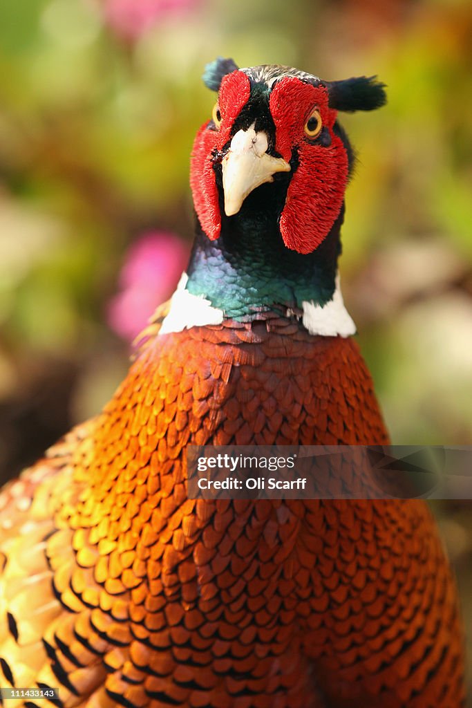 Visitors Enjoy Spring Weather at Wakehurst Place