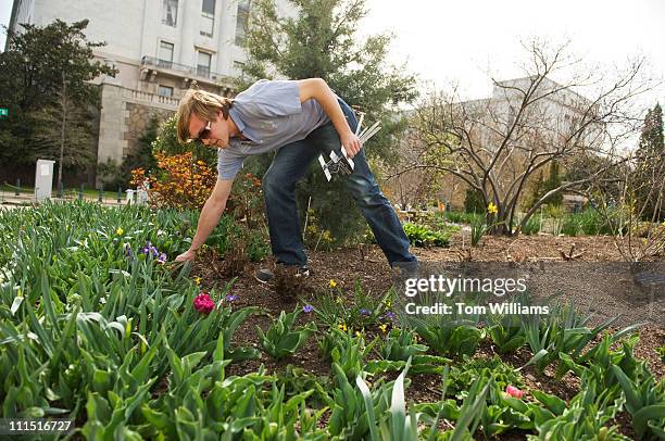Adam Pyle Bartholdi Park Photos and Premium High Res Pictures - Getty Images