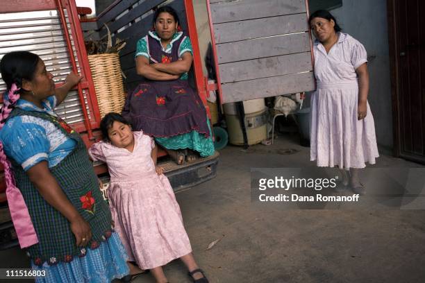 Ester Cruz Cruz , her cousin Juliana , sister Naomi and neice Ana return from working in the fields on February 16, 2008 near the city of Tlacolula....