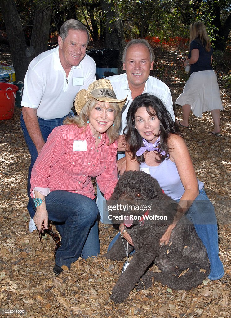 Southern California Labradoodle Romp and Picnic