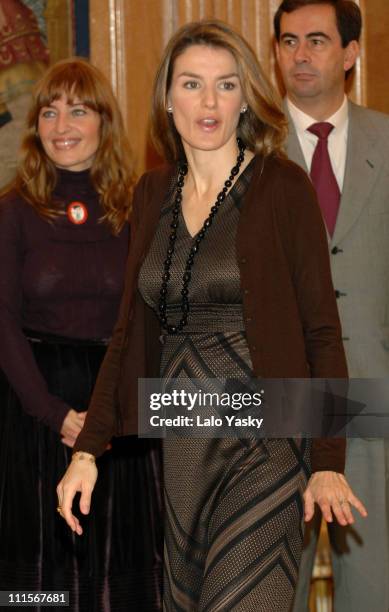 Princess Letizia during TRH Prince Felipe and Princess Letizia Attend Official Audiences at the Zarzuela Palace in Madrid at Zarzuela Palace in...