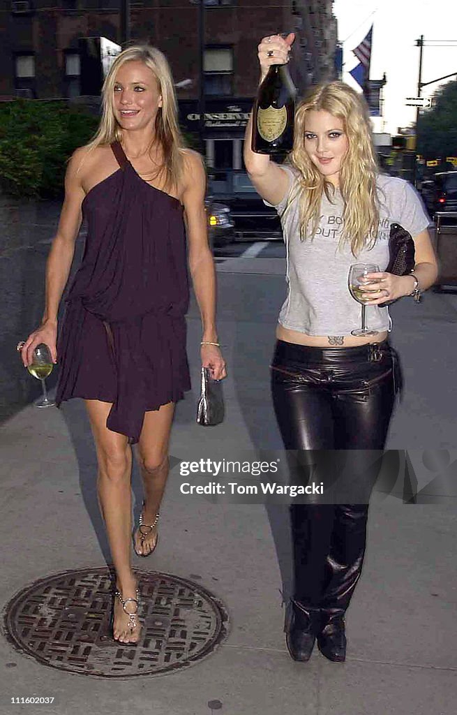 "Charlie's Angels: Full Throttle" New York City Premiere - Pre-Party