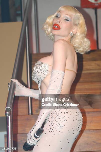 Amanda Lepore during Designer Richie Rich of Heatherette and Amanda Lepore Host Faggot Feud at XL in New York City, New York, United States.