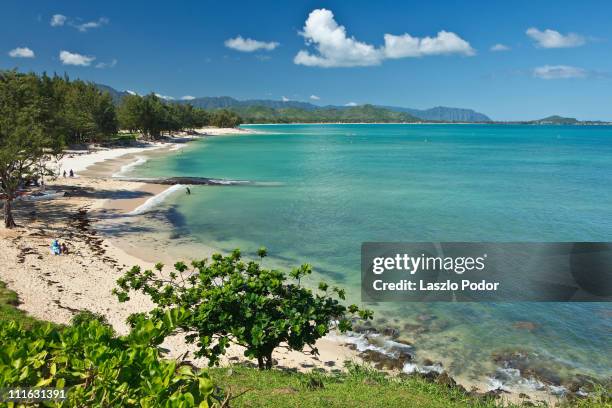 kailua beach park - oahu, hawaii, usa - kailua stock pictures, royalty-free photos & images