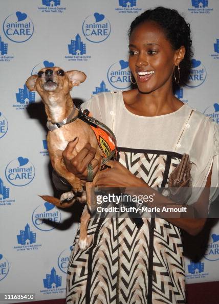 Actress Nicole Fiscella attends Animal Care and Control 