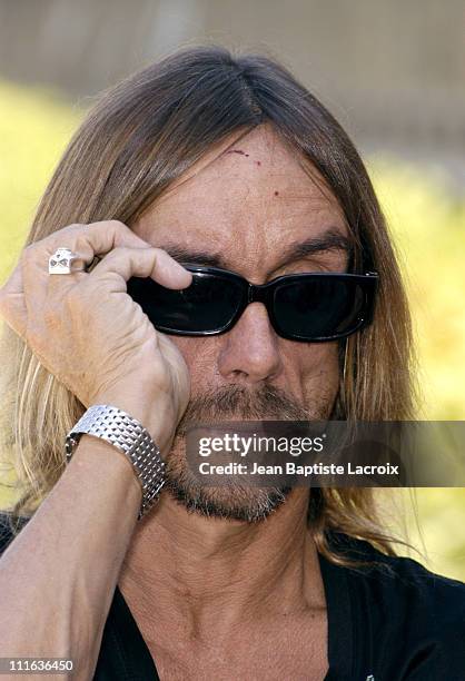 Iggy Pop during Iggy Pop Receiving the "Arts and Letters Medal" - Photocall - Paris at Ministry of Culture in Paris, France.