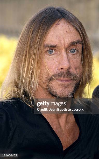 Iggy Pop during Iggy Pop Receiving the "Arts and Letters Medal" - Photocall - Paris at Ministry of Culture in Paris, France.