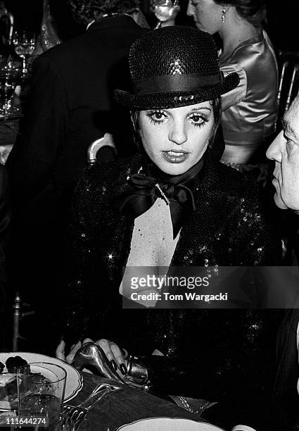 Liza Minnelli at Versailles Palace Ball on November 28, 1973 in Versailles, France.