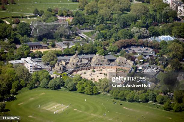 london zoo and cricket in regents park, london - london zoo stock pictures, royalty-free photos & images