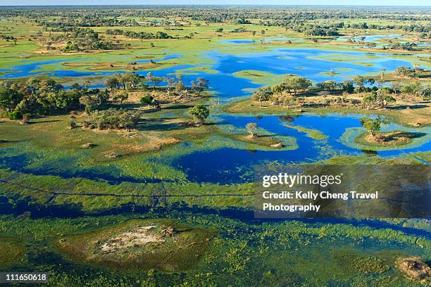 aerial view of okavango delta - okawangodelta stock-fotos und bilder
