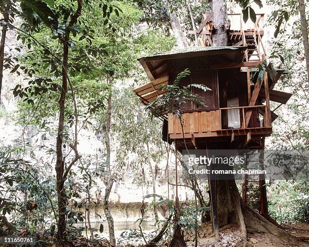 tree house with roof terrace - tree house stock pictures, royalty-free photos & images