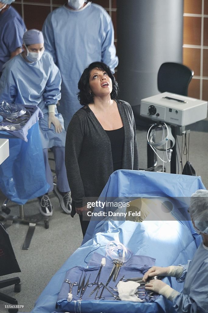 ABC's "Grey's Anatomy" - Season Seven
