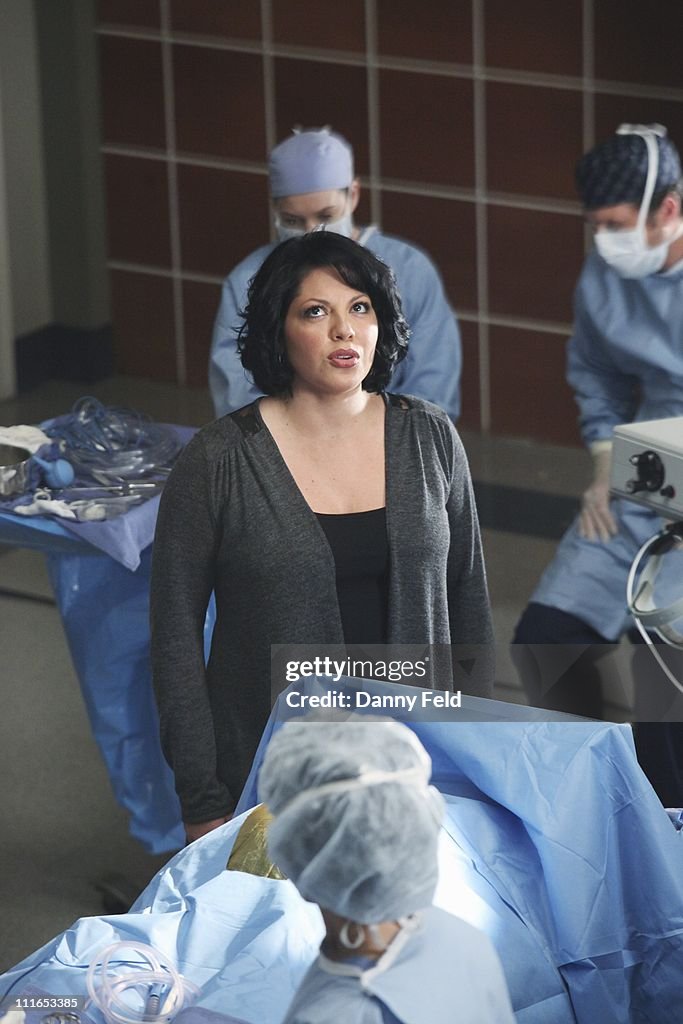 ABC's "Grey's Anatomy" - Season Seven