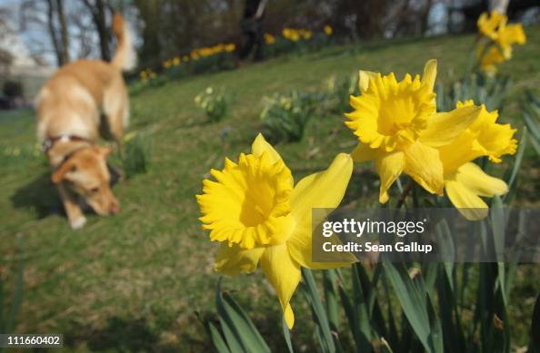 Spring Weather Reaches Germany Spring Weather Reaches Germany