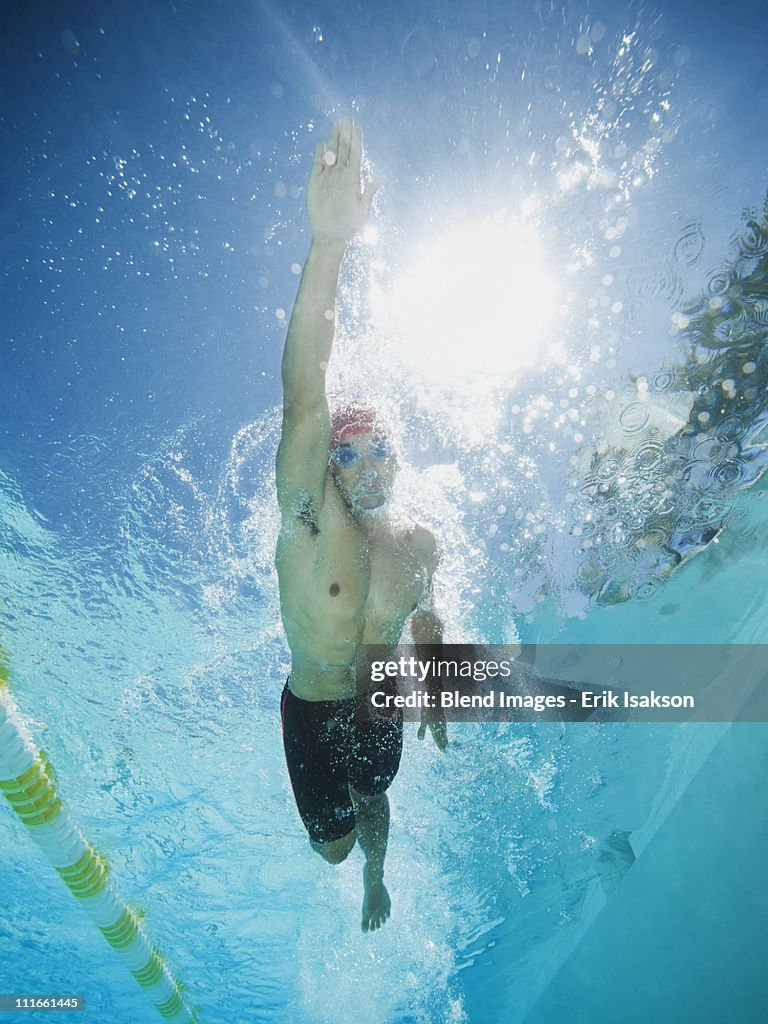 Mixed race man swimming in swimming pool