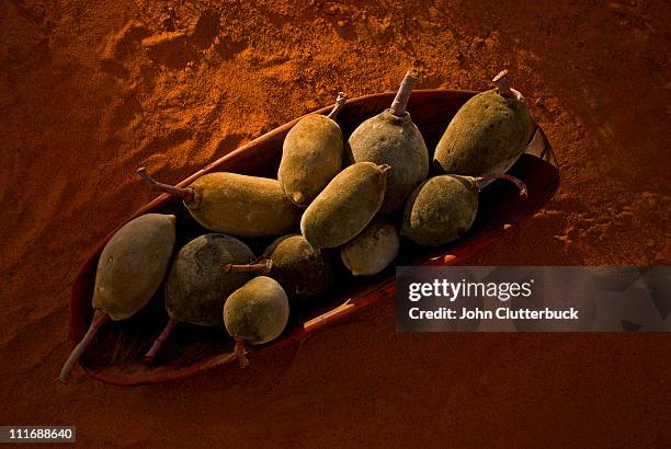 boab pods, coolamon, red earth. - kununurra imagens e fotografias de stock