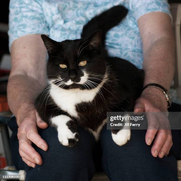 Cat sitting on an elderly woman's knees