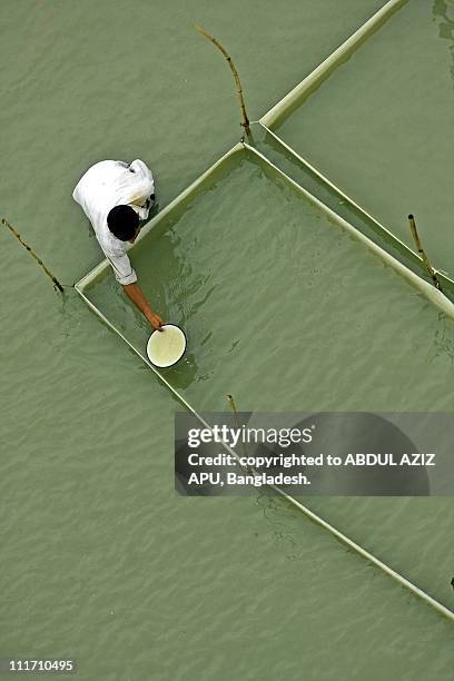 aquaculture geometry - agriculture in bangladesh stock pictures, royalty-free photos & images