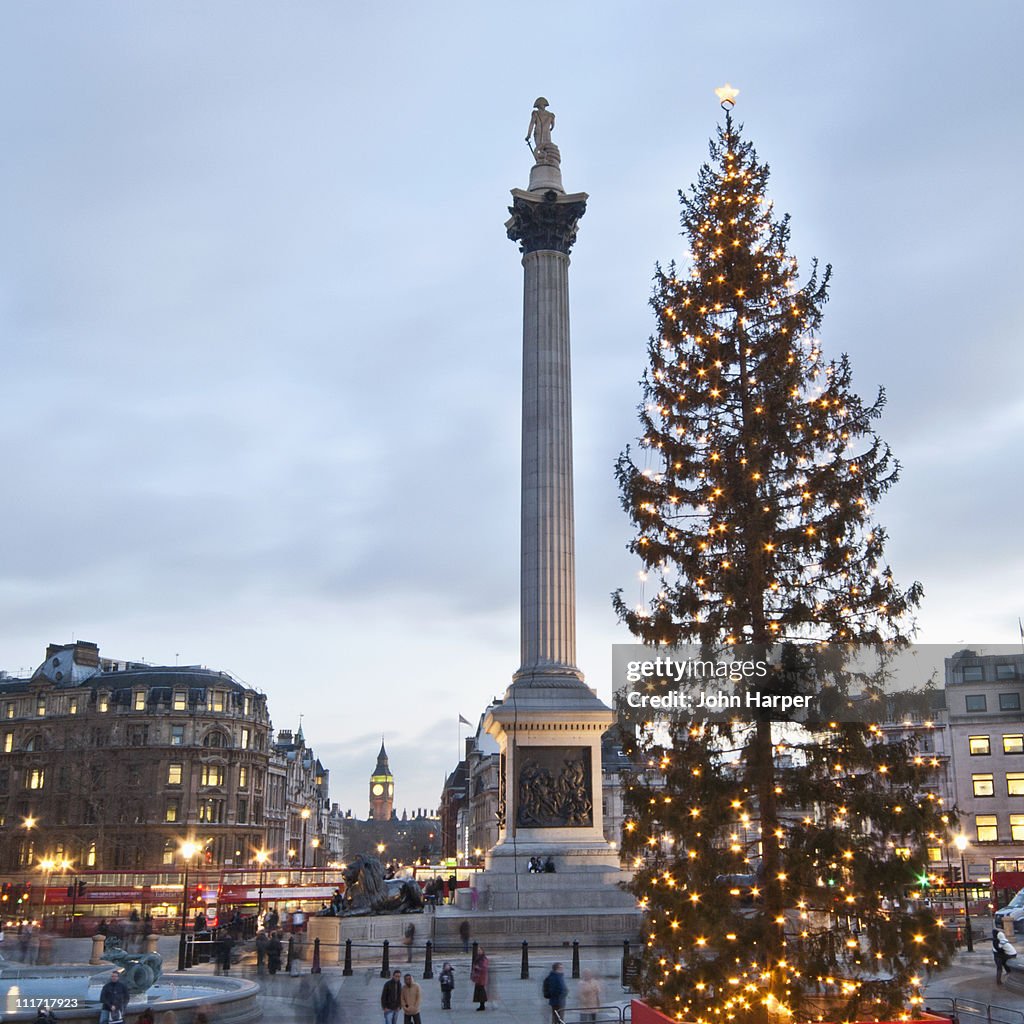 Trafalgar Square at Christmas, London