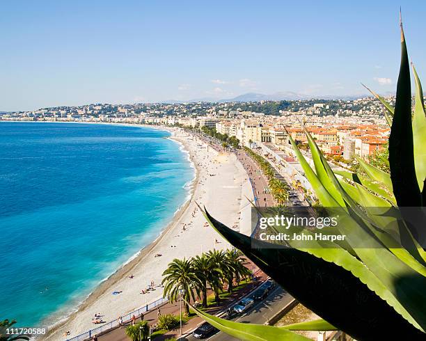 beach and promenade d'anglais, nice, cote d'azur, - nizza stock-fotos und bilder