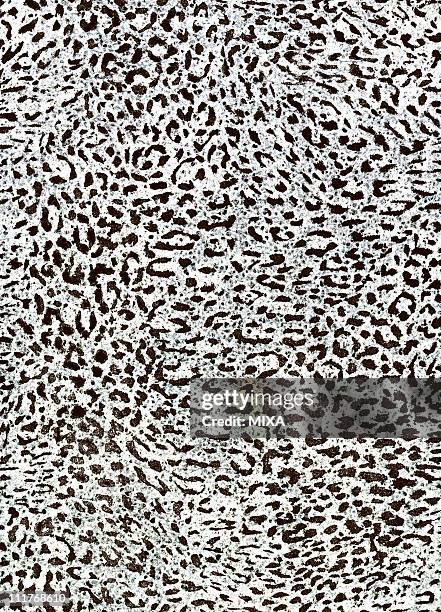 leopard pattern - leopard print texture stock illustrations