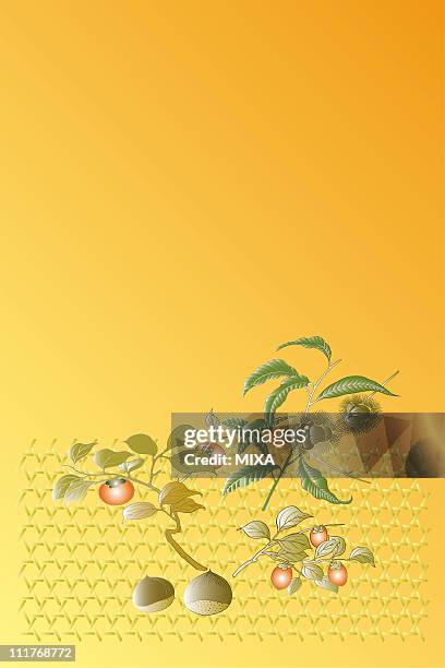ilustrações, clipart, desenhos animados e ícones de cg of japanese painting, persimmon and chestnut - caqui fruta tropical