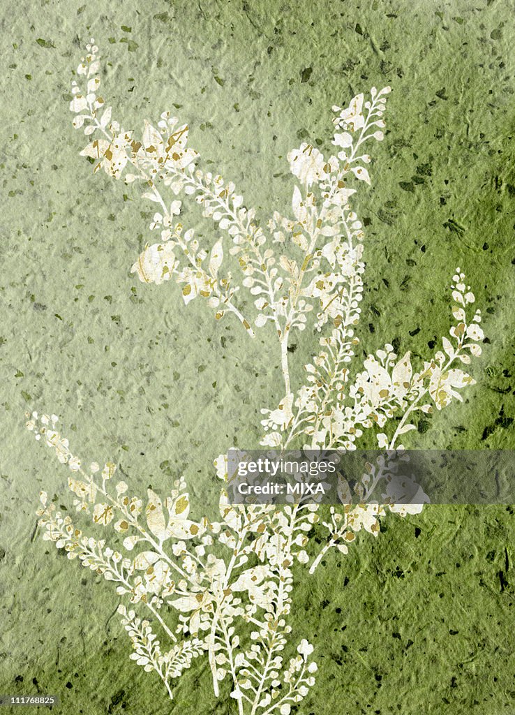 Silhouette of Grass on Japanese Paper