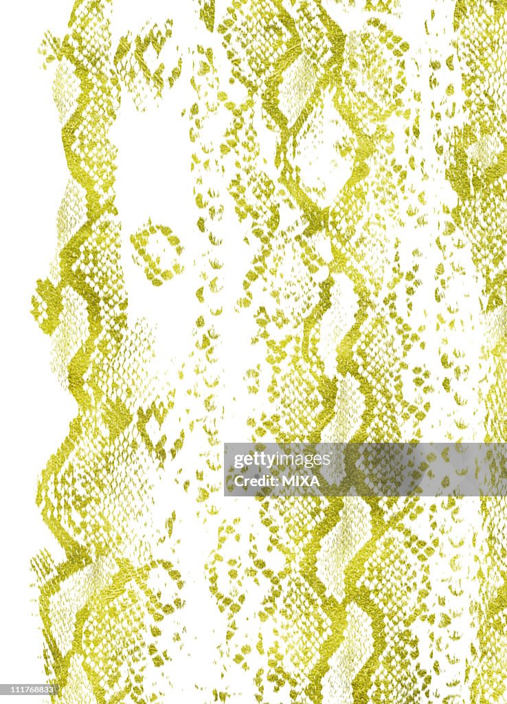 Python Pattern High-Res Vector Graphic - Getty Images